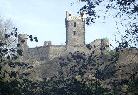 Burgruine Wernerseck, © VG Pellenz/Alexandru Manea