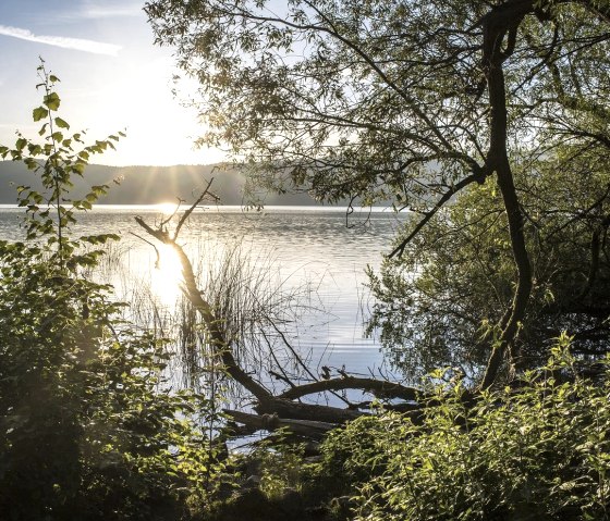 Lac de Laach, © Kappest/Vulkanregion Laacher See