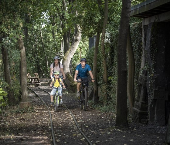 Rad, © Kappest/Vulkanregion Laacher See