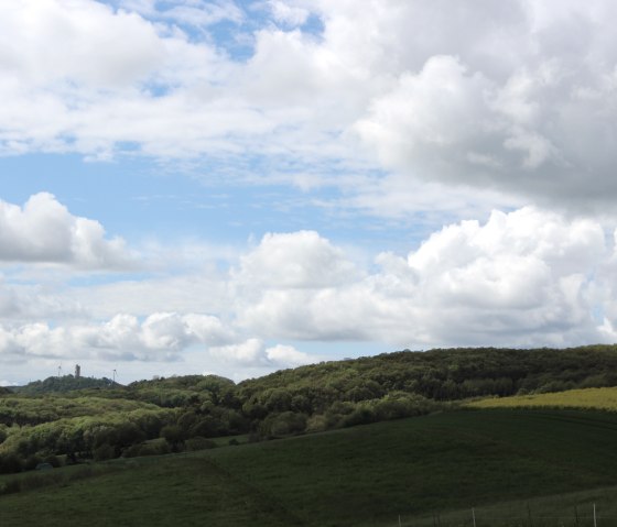 Blick auf Burg Olbrueck, © VG Brohltal / Schote