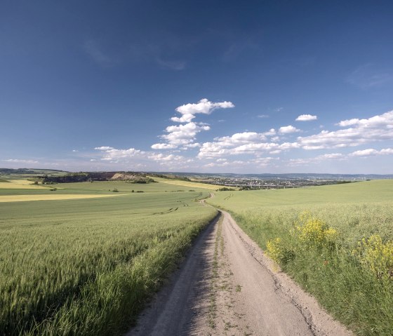 Schöne Landschaft, © Vulkanregion Laacher See/Kappest