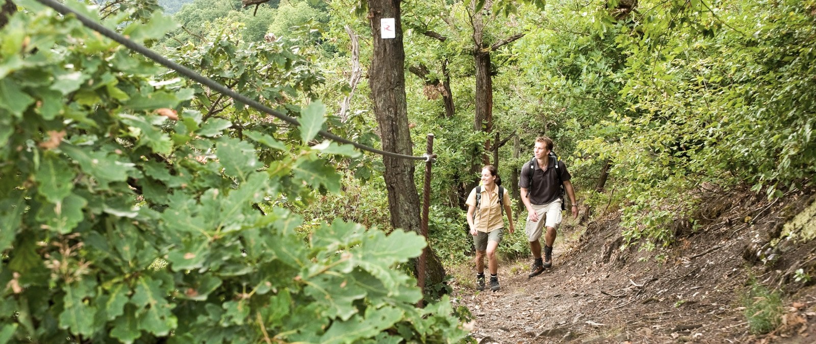 Rheinburgenweg, © Dominik Ketz / Romantischer Rhein Tourismus GmbH