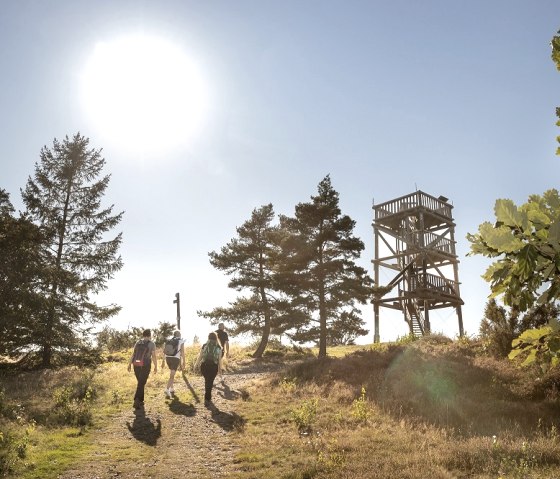 Aussichtsturm Weiselstsein@Baumann_k, © Vulkanregion Laacher See/Jan-Gerrit Baumann