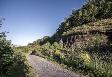 Schwarze Wand mit Blumen, © Kappest/VG Pellenz