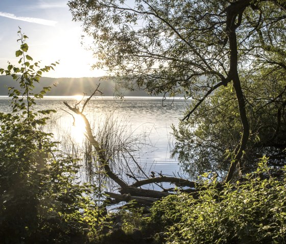 Seeblick, © Kappest/Vulkanregion Laacher See