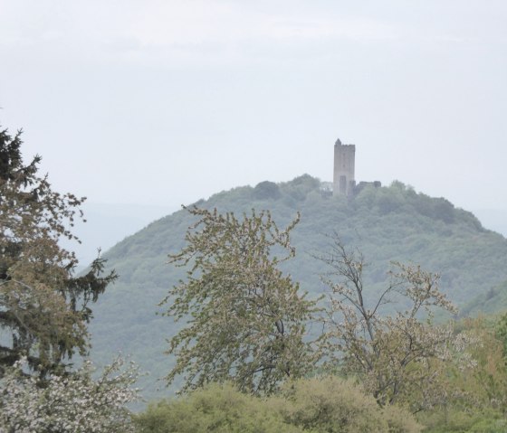 eroeffnung-4-doerfer-weg-spessart-1, © VG Brohltal