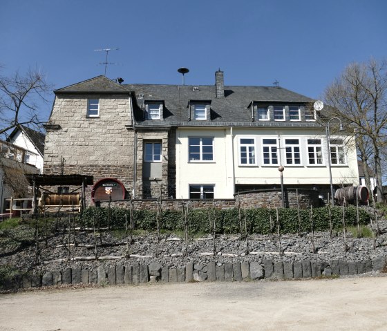 Alter Weinberg Oberzissen, © Christof Bürger