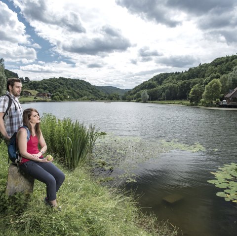 riedener-seeblick_waldsee-rieden-15-klein_1, © Kappest/REMET