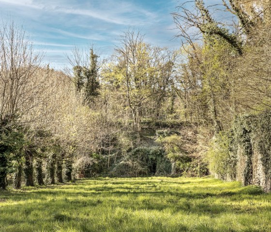 Landschaft, © Baumann Fotografie