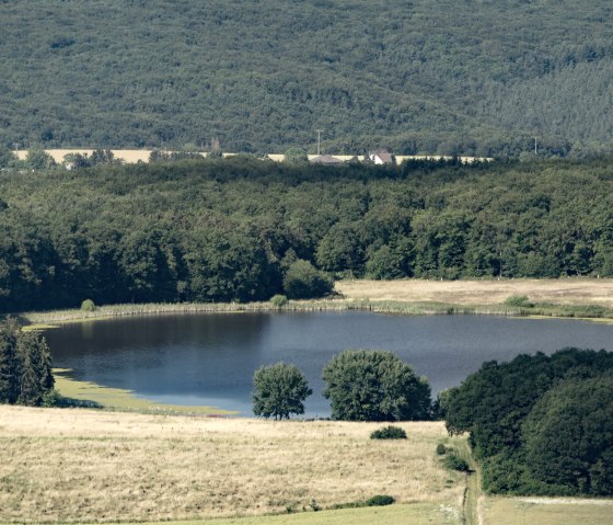 Rodder Maar, © Kappest/Vulkanregion Laacher See