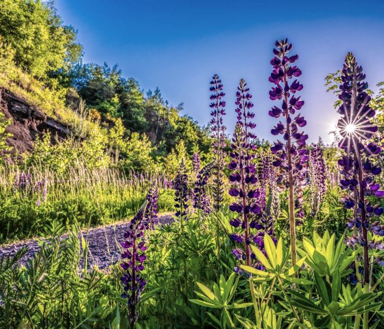 Prairies, © Kappest