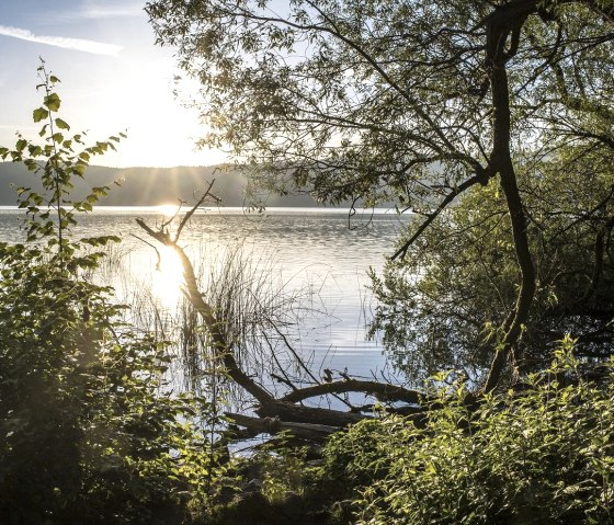 Laacher See, © Kappest/Vulkanregion Laacher See