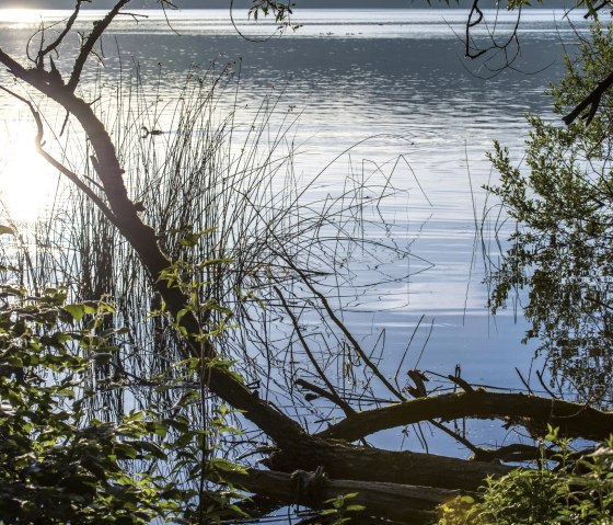 Laacher See, © Kappest/Vulkanregion Laccher See