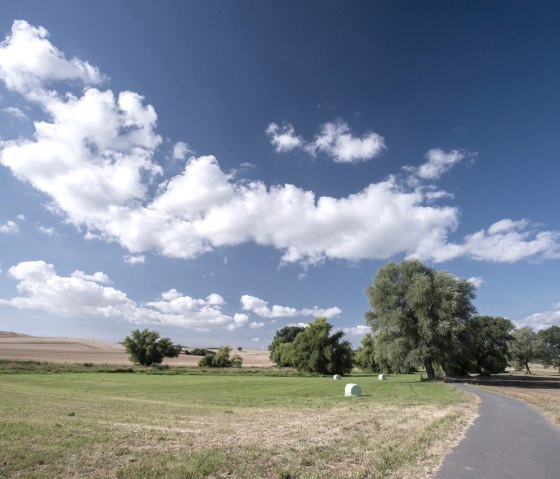 Fietspad, © Vulkanregion / Kappest