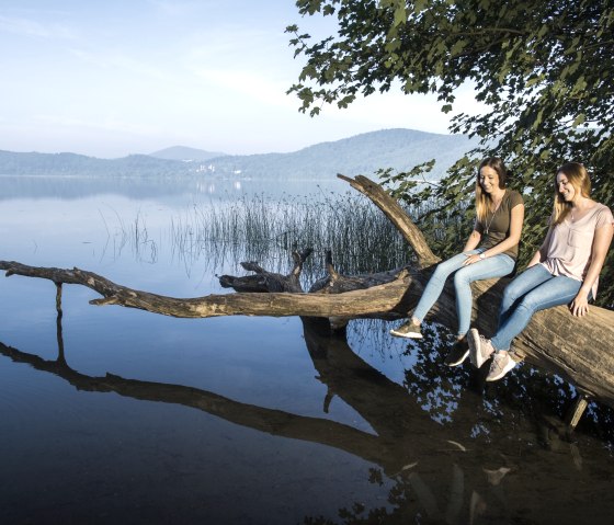 Laacher See mit Baumstamm, © Kappest/Vulkanregion Laacher See