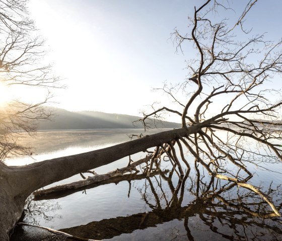 Mystische Stimmung, Sonnenaufgang am Laacher See, © Eifel Tourismus GmbH, D. Ketz