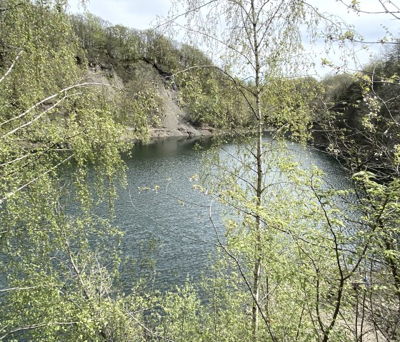 Königssee Oberdürenbach, © Christopf Bürger