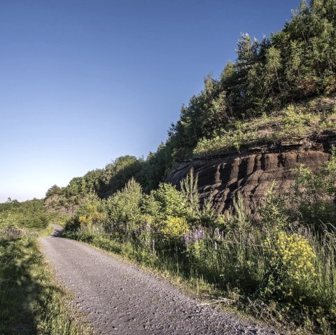 Schwarze Wand mit Blumen, © Kappest/VG Pellenz