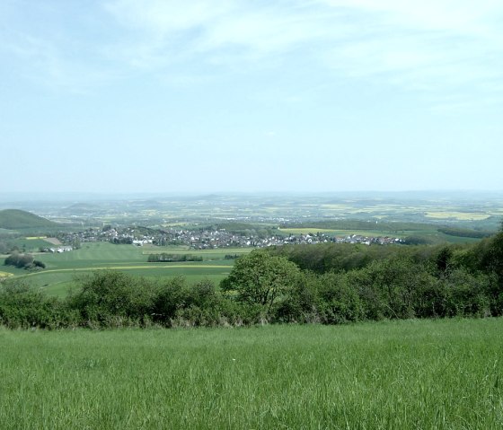 Weite Blicke vom Gänsehalsturm, © VG Mendig/Neideck