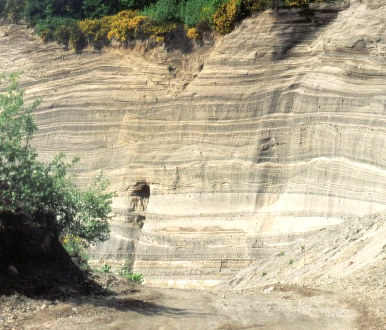 Wingertsbergwand - Nahansicht, © VG Mendig/Neideck