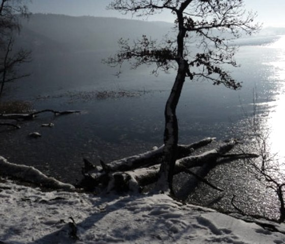 Wintertag am Laacher See, © Herbert Birnberg