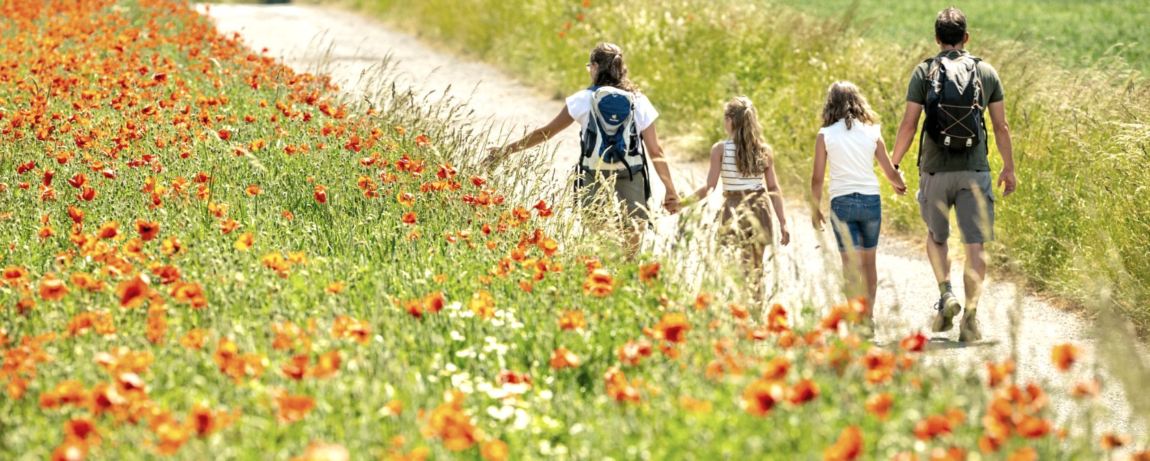 Mohnblumen am Laacher See, © Eifel Tourismus GmbH, Dominik Ketz