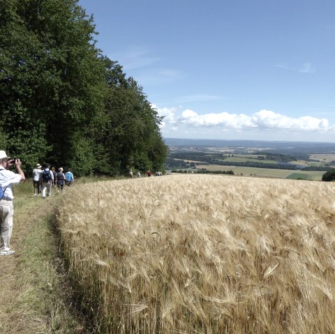 Wandern mit den Bürgermeistern, © Verbandsgemeinde Mendig