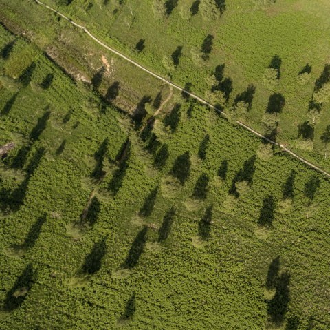 Aerial view of the Struffelt Heath on the Eifelsteig trail, © Eifel Tourismus GmbH, D. Ketz