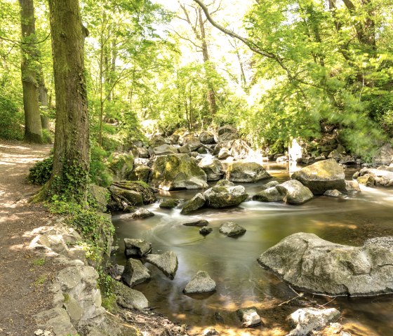 Rauscherpark, © Eifel Tourismus GmbH/Dominik Ketz