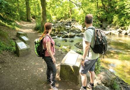 Rauscherpark, © Eifel Tourismus GmbH/Dominik Ketz