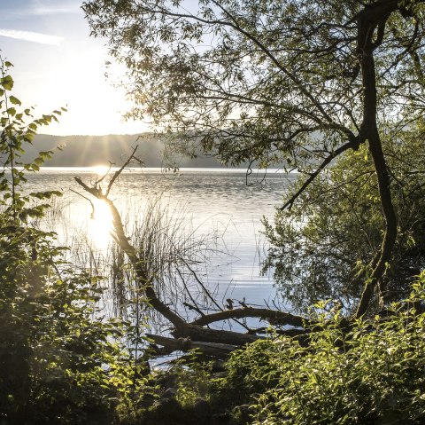 Cache Laachus beginnt sein Abenteuer, © Kappest/Vulkanregion Laacher See