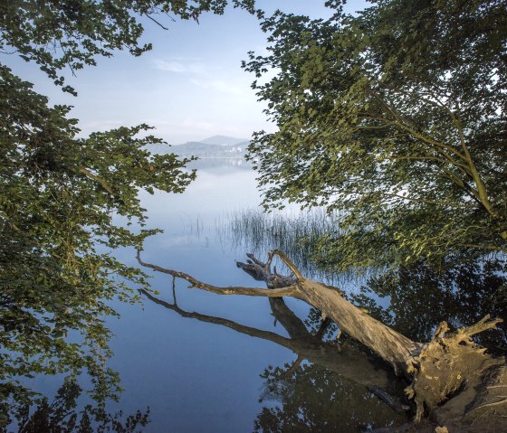 Laacher See, © Kappest/Vulkanregion Laacher See