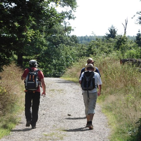 Lubentiusweg, © Manfred Schlich