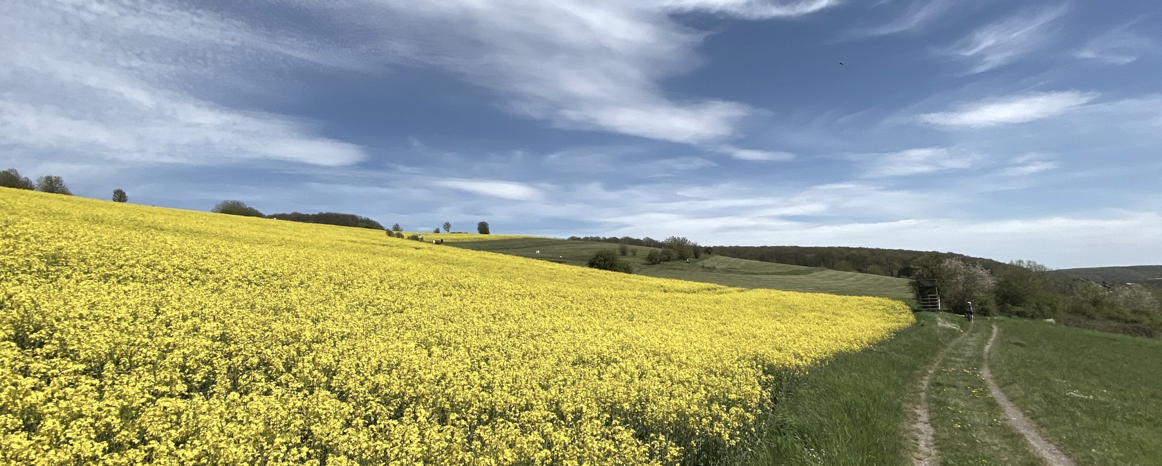 Eifellandschaft Niederdürenbach, © Christof Bürger