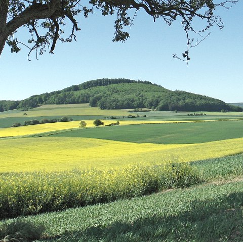 Laachus trifft Basalthasar, © Walter Müller