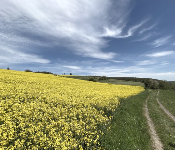 Eifellandschaft Niederdürenbach, © Christof Bürger