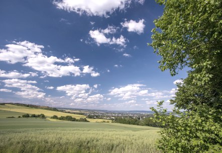 Blick auf Plaidt, © Kappest / VG Pellenz