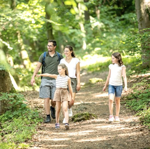 Familienwanderung in der Vulkanregion Laacher See, © Eifel Tourismus GmbH, Dominik Ketz