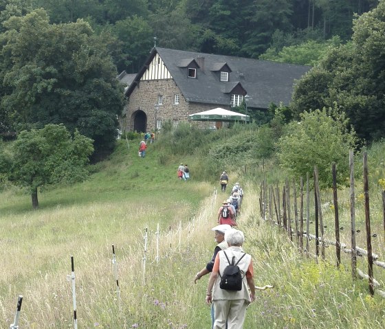 Wandelaars naar het boslandgoed Schirmau, © TI Vulkanregion Laacher See