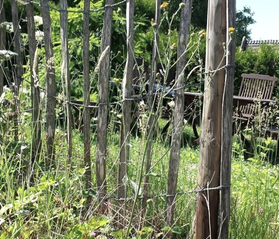 Ferienhaus Außen  oberer Garten 651