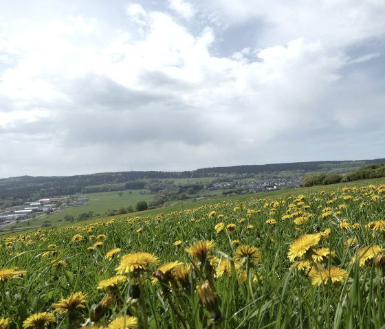 eroeffnung-4-doerfer-weg-spessart-5, © VG Brohltal