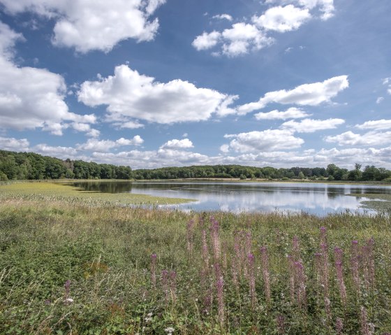 Rodder Maar, © Vulkanregion Laacher See/Klaus Peter Kappest