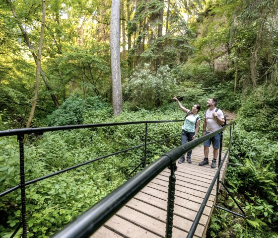 Pont dans la Gorge du loup, © Eifel Tourismus GmbH/Dominik Ketz