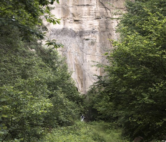 Tuffsteinwand, © Kappest/Vulkanregion Laacher See