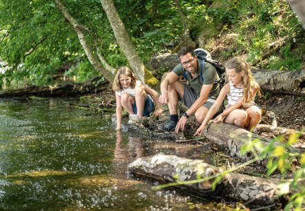 Mofetten am Laacher See, © Eifel Tourismus GmbH, Dominik Ketz