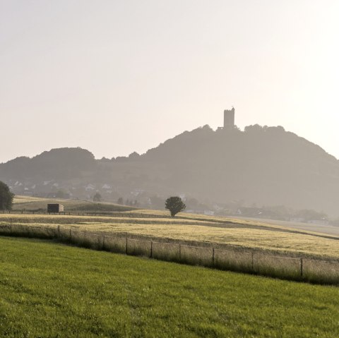 Osteifelweg Oberzissen nach Bad Neuenahr, © Vulkanregion Laacher See, Kappest