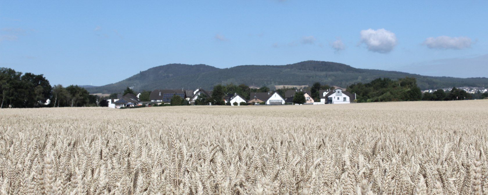 Weizenfelder, © VG Pellenz/Manea