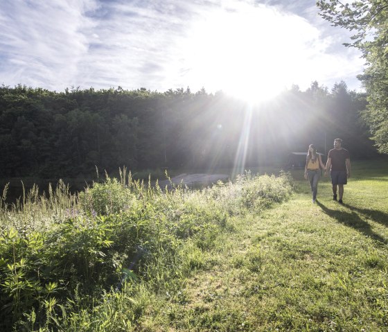 Forêt, © Vulkanregion / Kappest