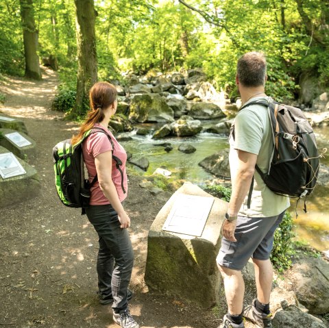 Rauscherpark, © Eifel Tourismus GmbH/Dominik Ketz