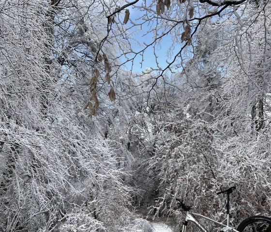 Winterimpression "Eifelleiter"